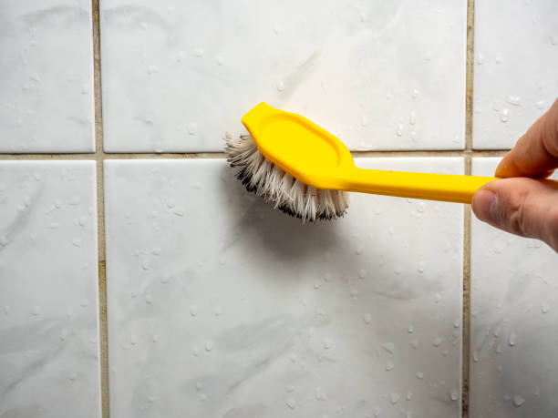 Best Best Mold Removal Companies  in Ephrata, PA