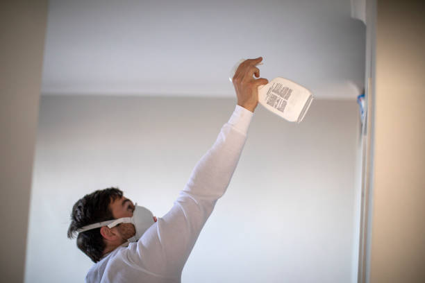 Best Mold Damage Repair  in Ephrata, PA