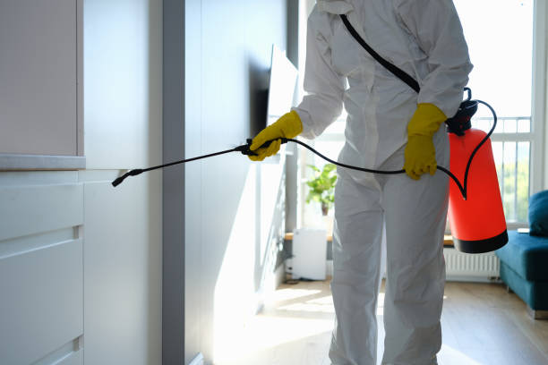 Professional Mold Removal in Ephrata, PA
