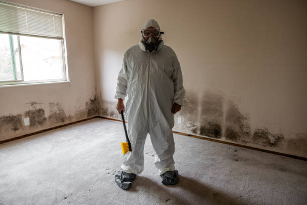 Best Mold Removal Process  in Ephrata, PA